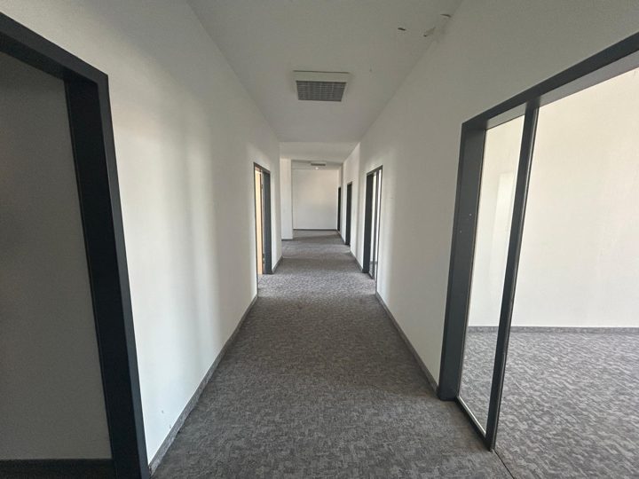 833 m² als Heim/Pflege oder Betreutes Wohnen (Gewerblich), Foto 4