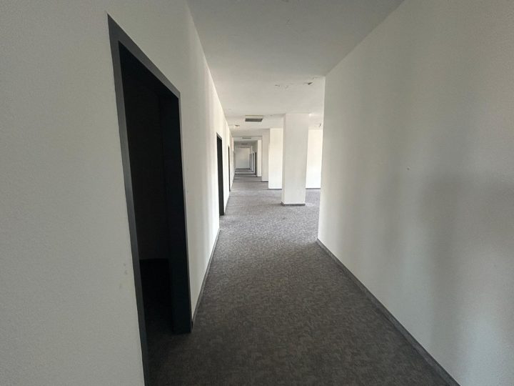 833 m² als Heim/Pflege oder Betreutes Wohnen (Gewerblich), Foto 11